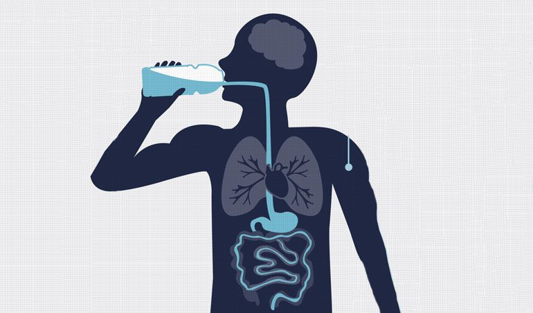 Hidratación: el secreto del bienestar integral
